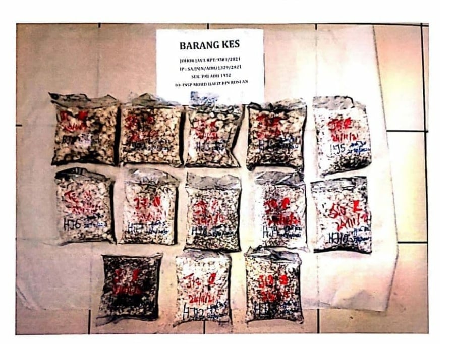 Police Bust Drug Trafficking Syndicate, Storage | New Straits Times ...