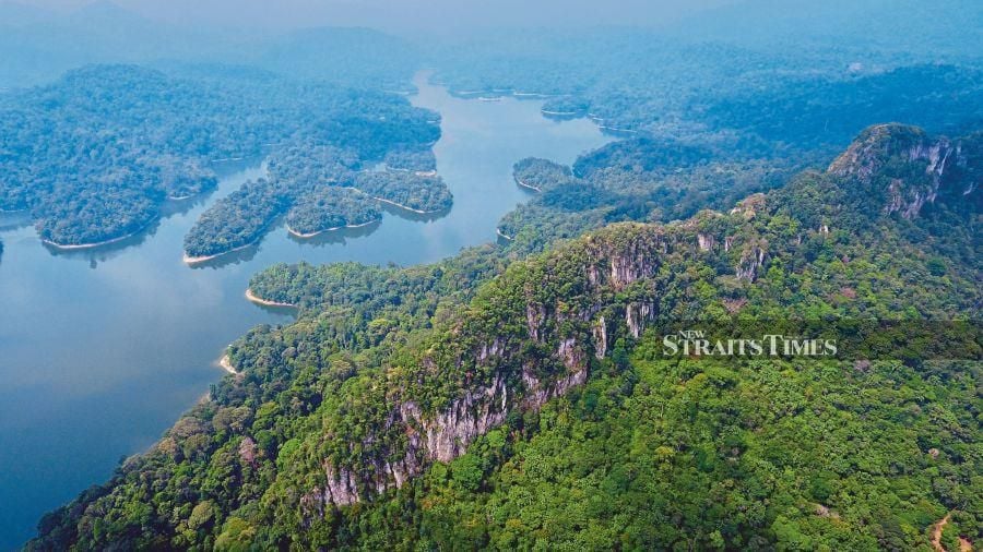 Forests, water and the environment as a whole must be perceived and governed as one big connecting complex system, managed in an integrated and holistic manner. - NSTP file pic