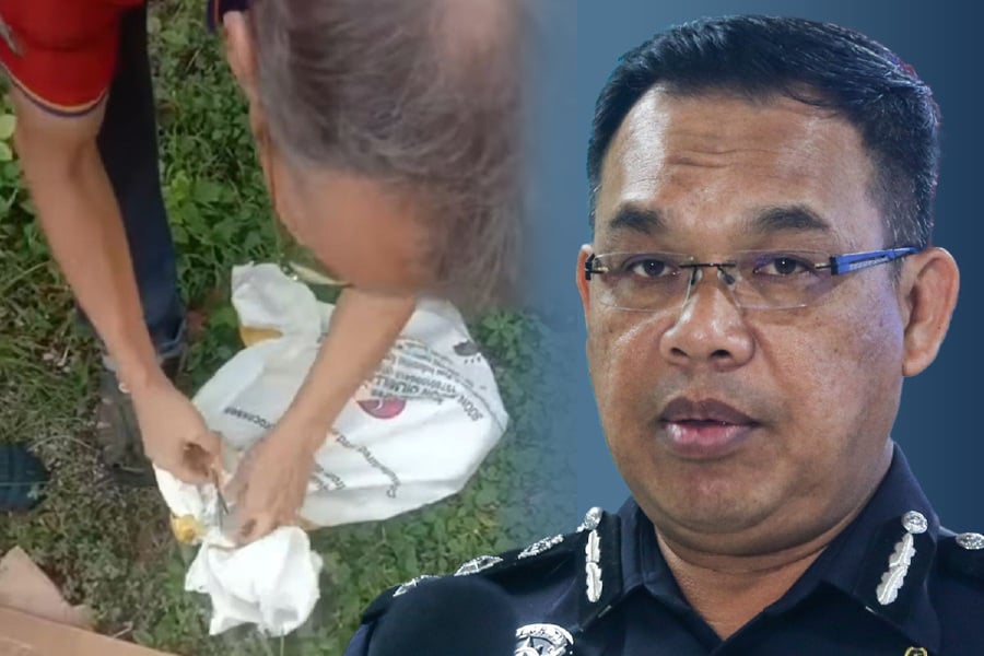 Northeast district police chief Assistant Commissioner Razlam Ab Hamid said they received a report from a 31-year-old woman just before noon yesterday on the incident. - Pic courtesy from Facebook Persatuan Haiwan Malaysia/ NSTP pic