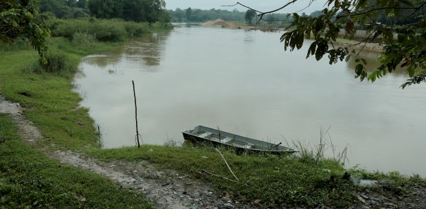 Ikan Bandaraya Cleans Out Local Ecosystem New Straits Times