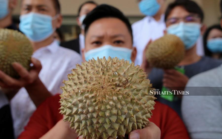 (File pic) Some 50 farmers who have been operating orchards without permits have been served notices to appear in groups at the district MACC office. - Photo by FARIZUL HAFIZ AWANG/NSTP