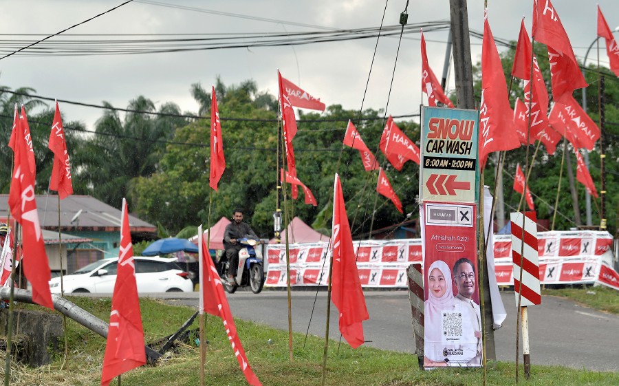 A view of Pakatan Harapan flags seen along Kampung Bukit Kapar, ahead of the state election. - BERNAMA PIC