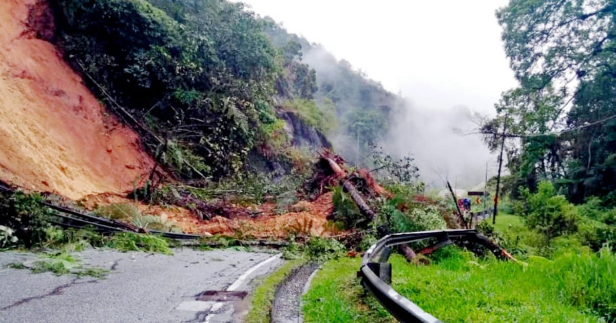 2 landslides hit Camerons | New Straits Times