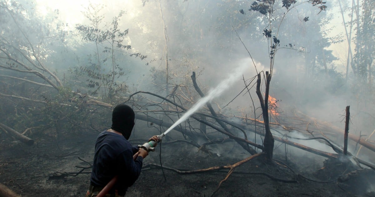 Out-of-control forest fire shrouds Pekan villages in haze | New Straits ...