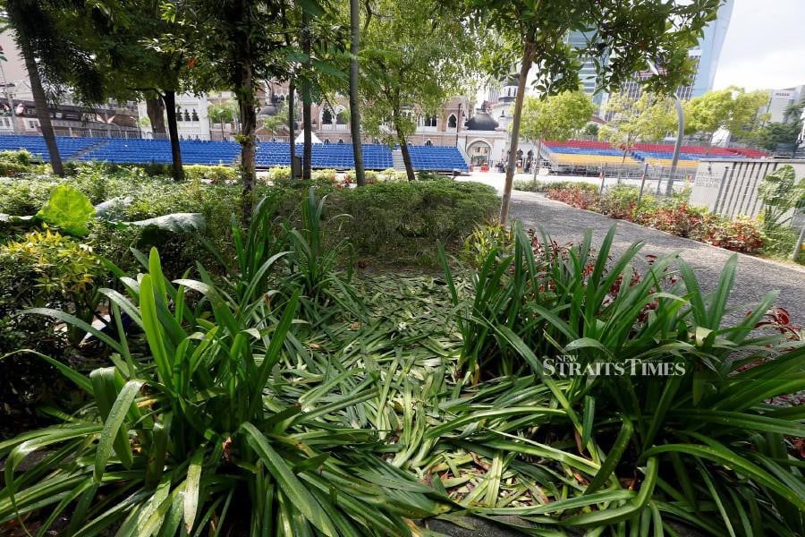 Plants along Dataran Merdeka were destroyed members of the public, following the National Day Parade. - NSTP/HAIRUL ANUAR RAHIM