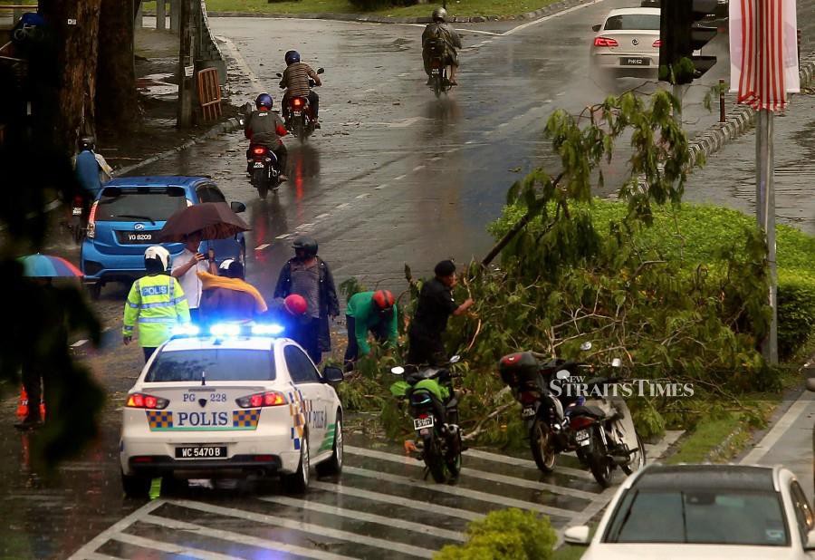 Uprooted trees during storm causes traffic congestion in Penang | New ...