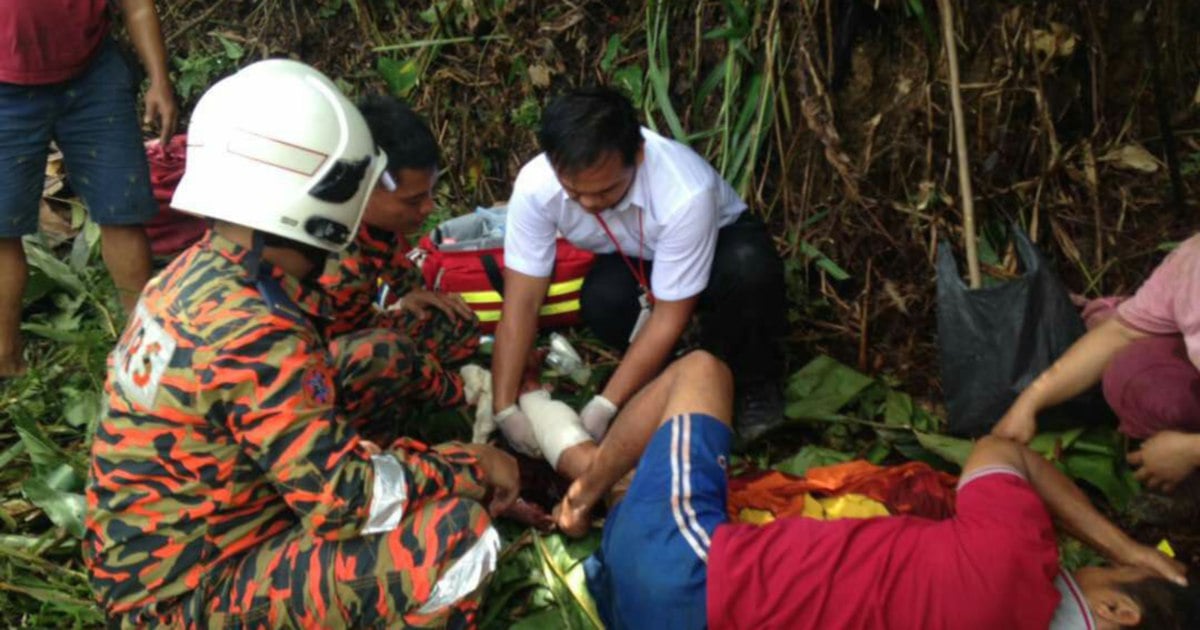 Man falls into 15m ravine while clearing land for farming | New Straits ...