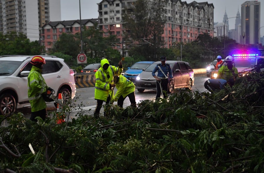 Six cars were damaged by falling trees following heavy rain and strong winds in the federal capital this evening. - Bernama pic