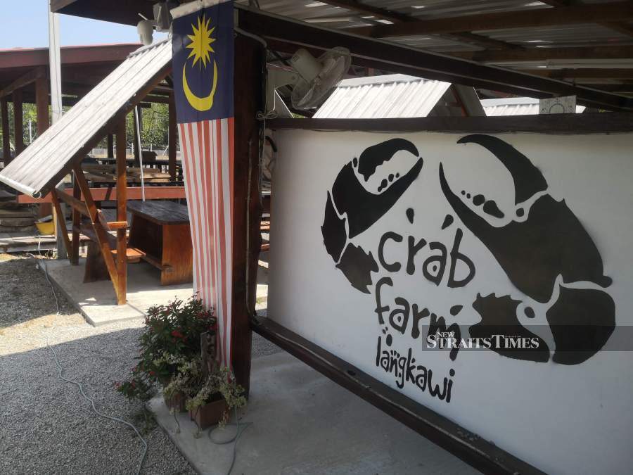  Crab Farm Langkawi practices sustainability to help protect the natural environment.