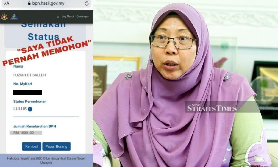 Kuantan MP 'qualifies' for BPN, describes system as major error