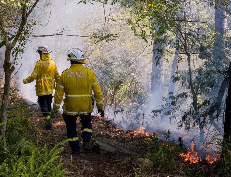 (FILE PHOTO) New South Wales Rural Fire Service firefighters walk through a hazard reduction burn in Sydney, Australia. (REUTERS/Cordelia Hsu/File Photo)