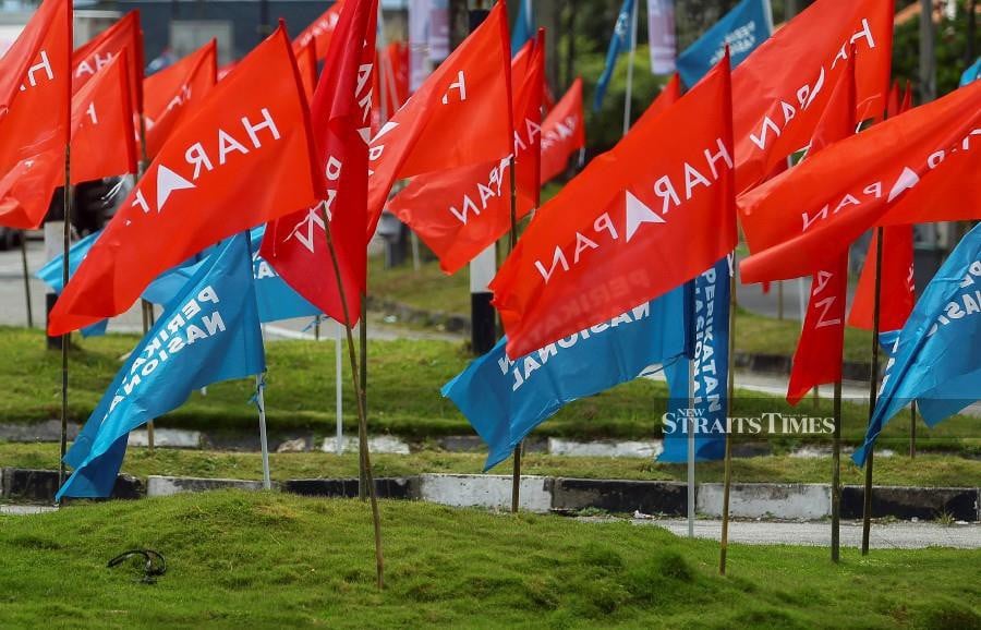 Flags of political parties’ seen along Jalan Seremban-Kuala Pilah, ahead of the state election slated to take place on Aug 12.-NSTP/AZRUL EDHAM