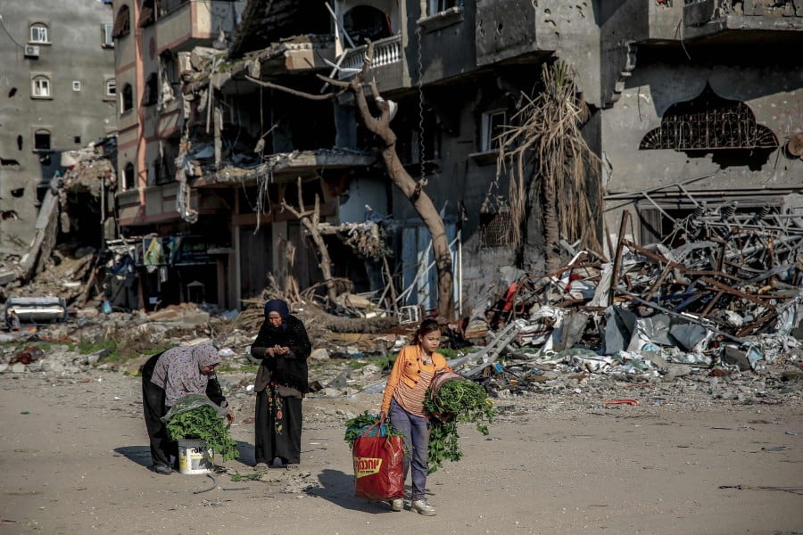Palestinian women carry vegetables past buildings destroyed during Israeli strikes in Beit Lahia in northern Gaza. - AFP PIC