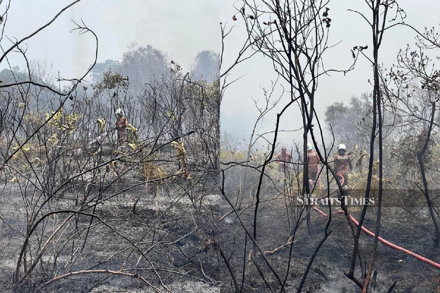 Port Dickson Fire and Rescue Department chief Mohd Kamal Mohd Timar said it took them almost six hours to control a forest fire covering an area of ​​around 10 acres in the forest near Taman Vista Jaya, here today. - Pic courtesy of Fire and Rescue Dept