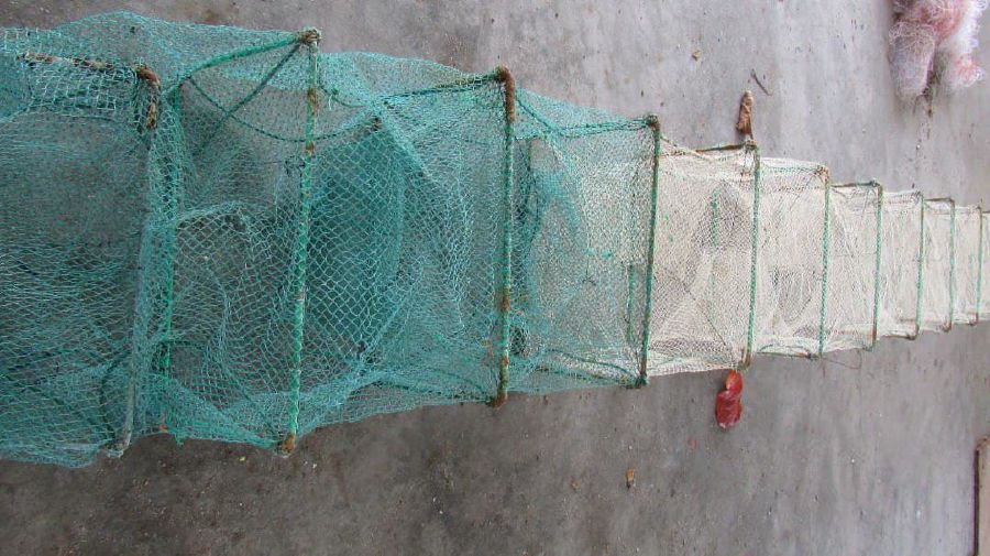 Dragon bubu Fishing net Long Fish