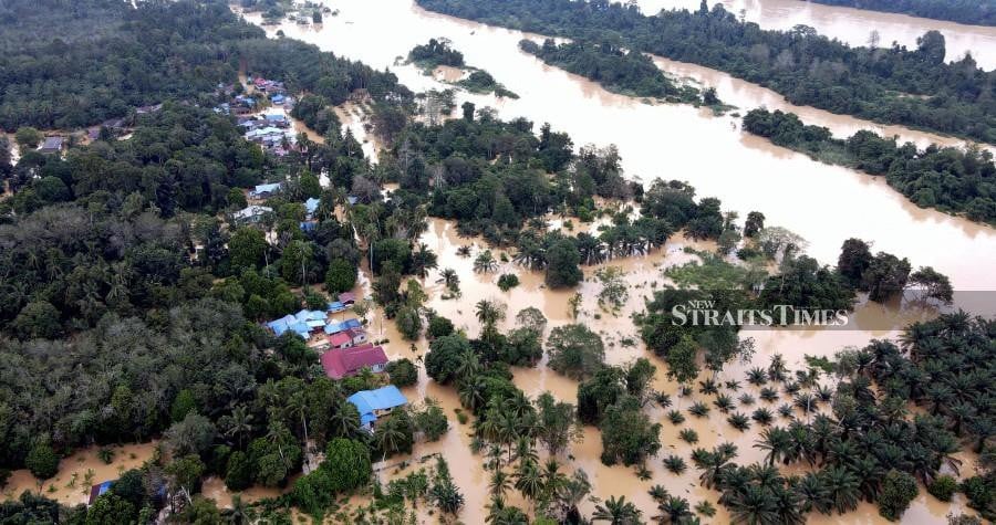 Pahang floods claim lives of over 17,000 animals