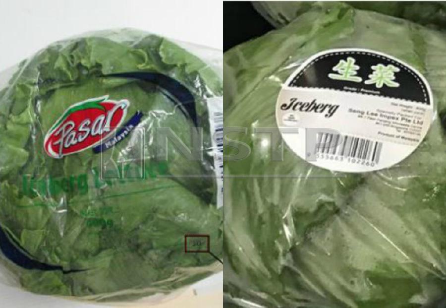 Singapore recalls Malaysian iceberg lettuce over pesticide content