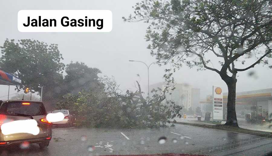 There was an uprooted tree in Jalan Gasing in Petaling Jaya, near the Petron petrol station. Pic from Ang Soo Huey Facebook