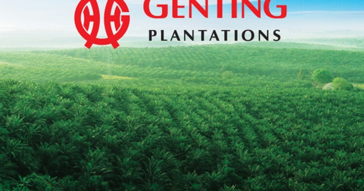 Genting Plantations akan membeli 152 hektar lahan di Indonesia seharga RM593 juta