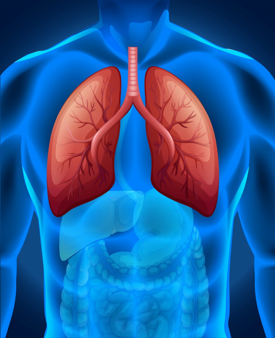 The symptoms of lung cancer, especially at early stages, are not very distinct. Picture: Designed by brgfx / Freepik.