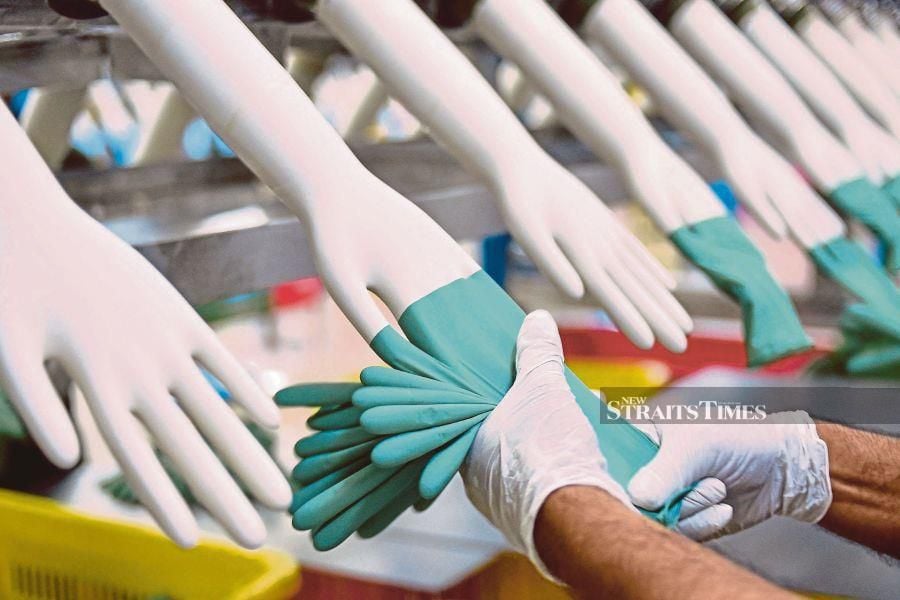 Industry players and analysts have tempered down the positive impact for Malaysian rubber glove companies after the US hikes tariff on Chinese gloves. STR/MUHAMMAD SULAIMAN 