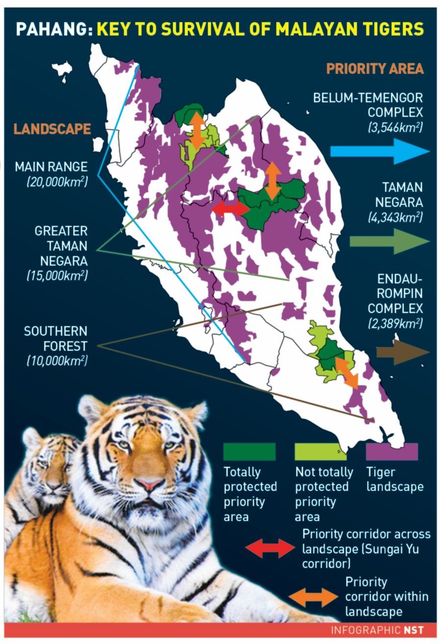 Malayan Tiger Map