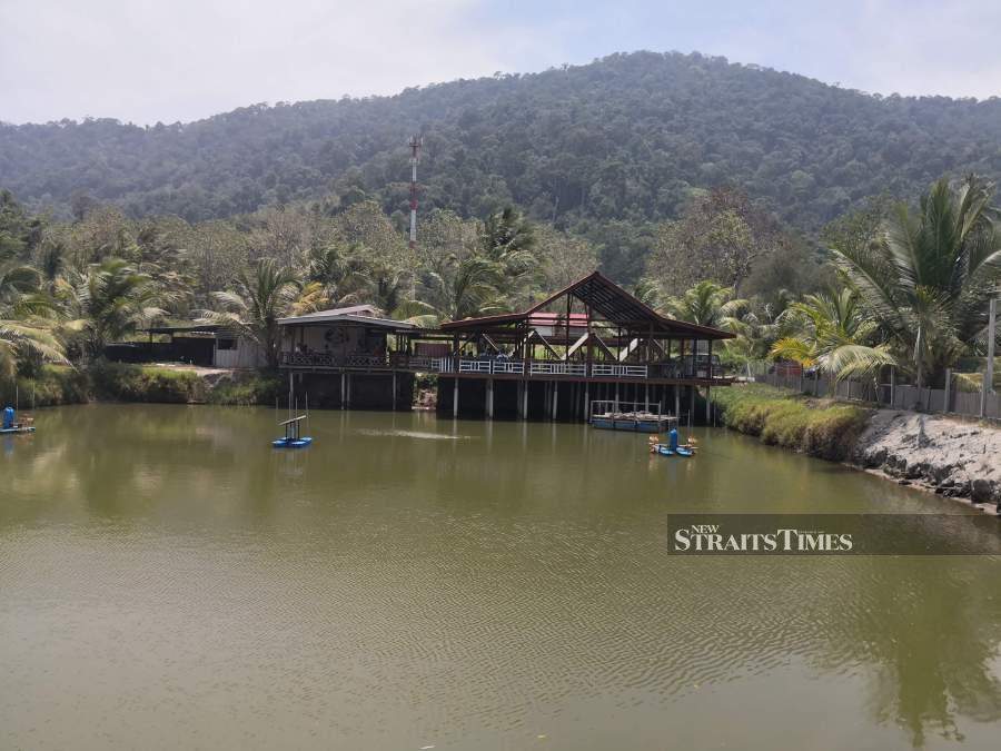  Enjoy savoury dishes at Crab Farm Langkawi while taking in the sights of Gunung Machinchang in the distance.