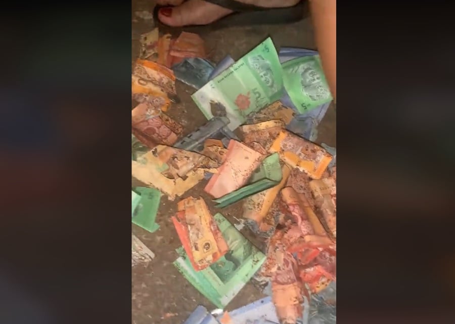 The video, shared by the woman’s daughter, unveils a heap of ringgit notes ranging from RM1 to RM50, all visibly marred by termites. -- Screengrab from TikTok