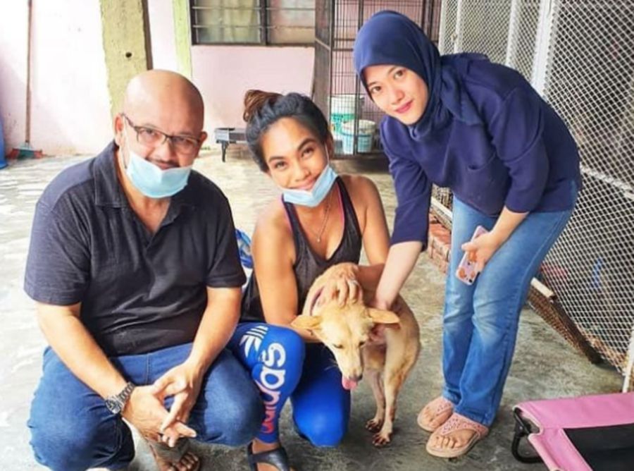Harith and Jezamine with Marvela and Nurul Ain Abdul Hamid, from whom the couple adopted the dog. — Instagram/harithiskander