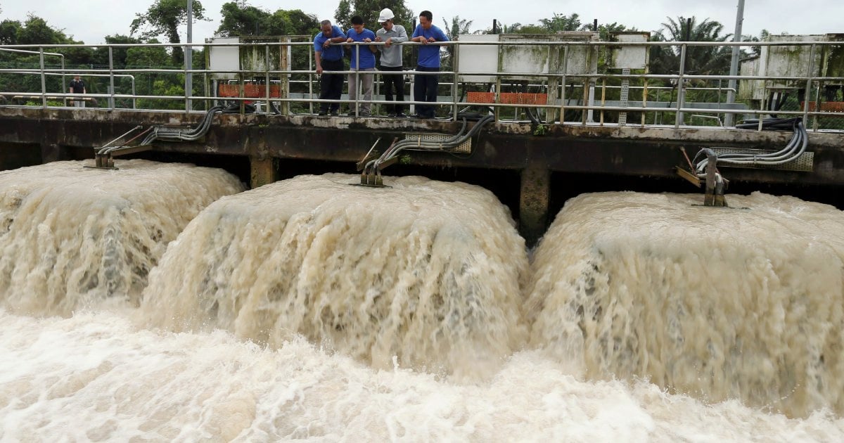 Ammonia pollution at Sungai Johor caused by chicken droppings ...