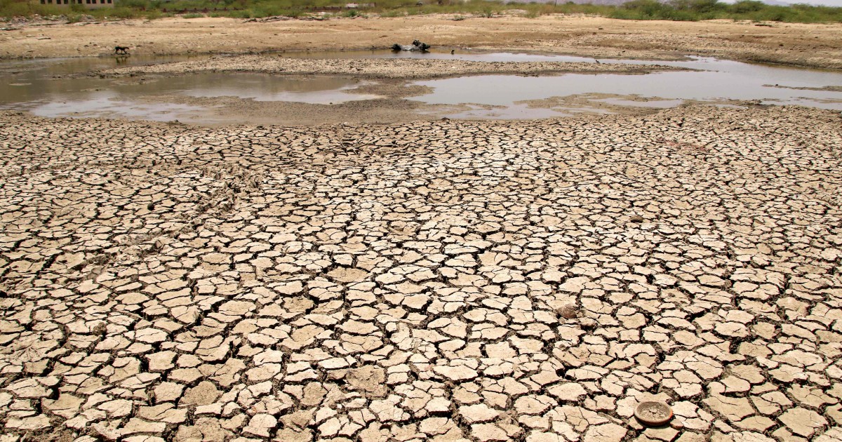 Temperatures hit 50 degrees in India due to heatwave | New Straits Times