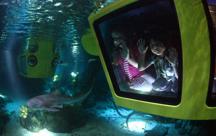 Atlantis Submarine Voyage. Take the plunge with this world-first LEGO® submarine ride and immerse yourself in a magical underwater adventure. Join the LEGO divers on a fun fishy mission that the whole family will enjoy. 