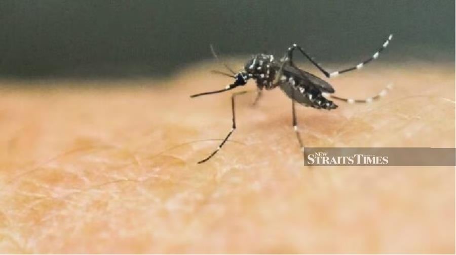 Health director-general Datuk Dr Muhammad Radzi Abu Hassan said two deaths due to dengue complications were reported. - NSTP file pic
