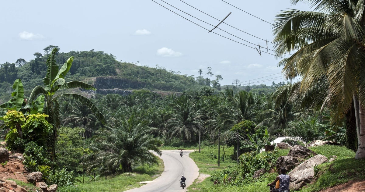 The superhighway threatening Nigeria's tropical rainforest | New ...