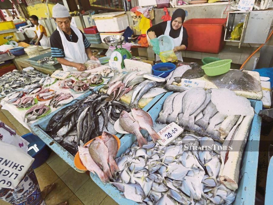 Kota Kinabalu City Hall (DBKK) has conducted an operation at the Inanam night market following public complaints of fishmongers dyeing their fish to make them look fresh. - NSTP/SAIFULLIZAN TAMADI 