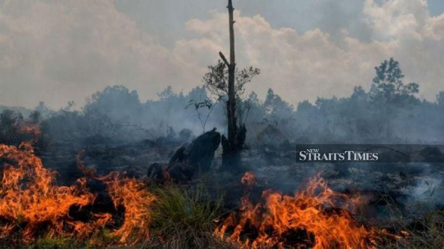 (File pix) Photo shows the forest fire that occurred at Senadin, Miri. Pix by Kandau Sidi 
