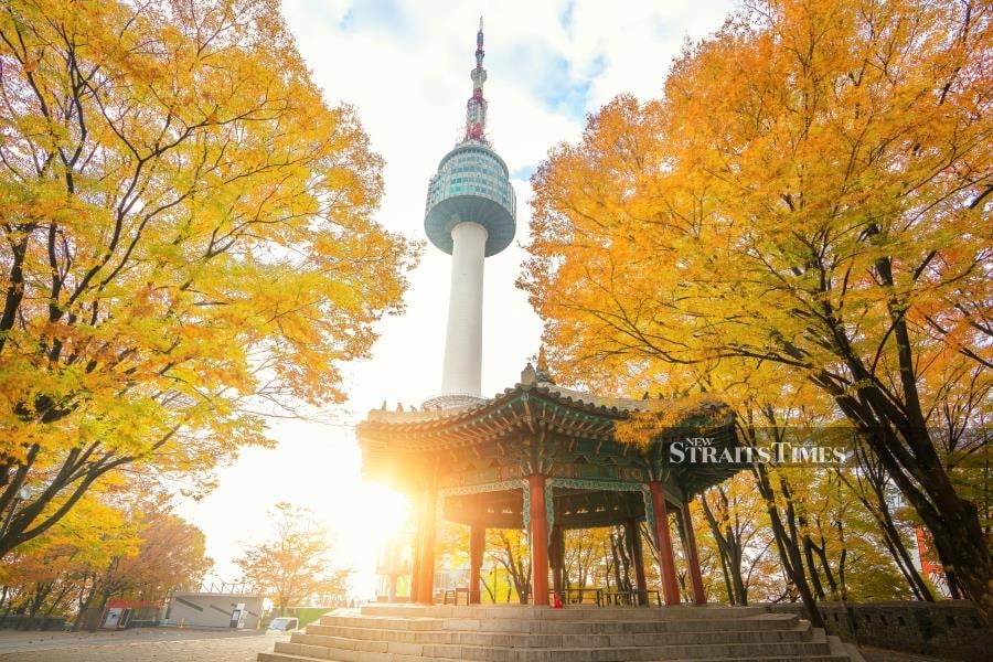 During autumn, Seoul turns into a dazzling hue of brown, deep red and orange. Pic courtesy of Scoot.