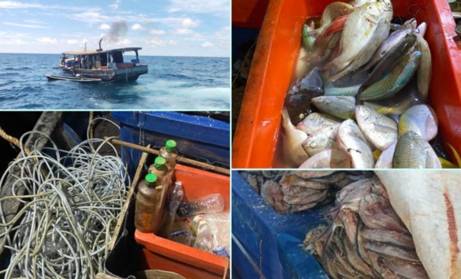 Further investigation uncovered 300 kilogrammes (kg) of various fish species and an additional 300 kg of dried fisheries products on board,” he said to reporters today (December 11).- Pic credit MMEA