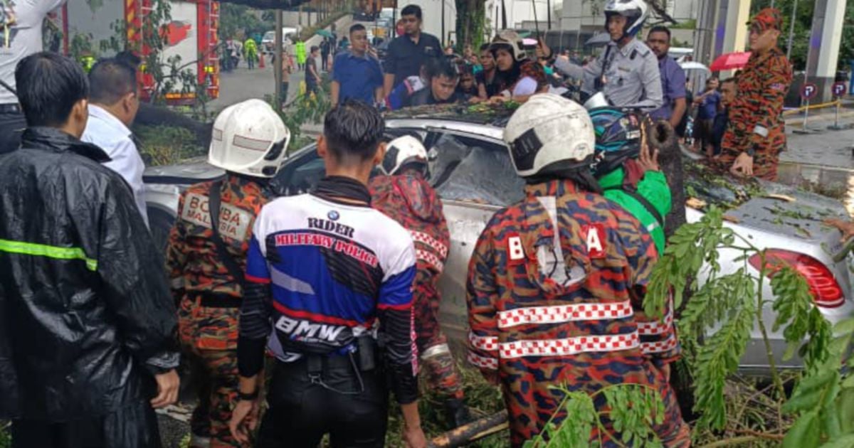 Man killed after tree falls on car at Jalan Sultan Ismail [NSTTV] | New ...