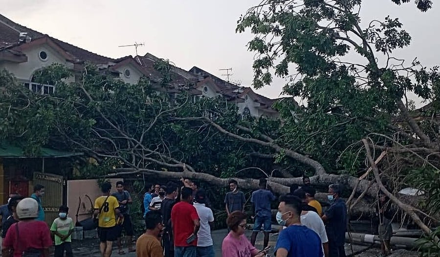 Strong winds ripped off the roofs of several houses and uprooted trees in Tasek here today.  - Pics courtesy of Fire & Rescue Dept