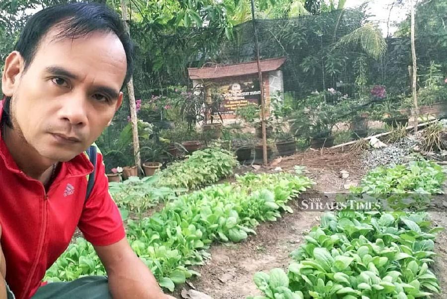 Datuk Cobra Jeffrey Ayah now has about 1,500 species of vegetables, fruits, herbs and flowers at his 1.2 hectares.- NSTP/ courtersy of Cobra Jeffrey