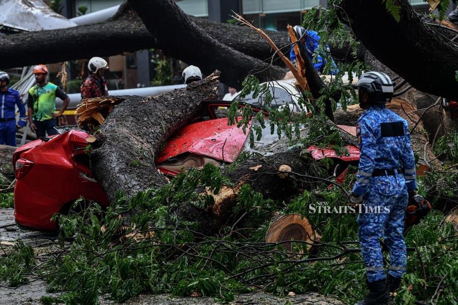 The incident of a fallen tree that caused at least seventeen vehicles to be crushed by the tree due to heavy rain and strong winds on Sultan Ismail Street today. - Bernama pic