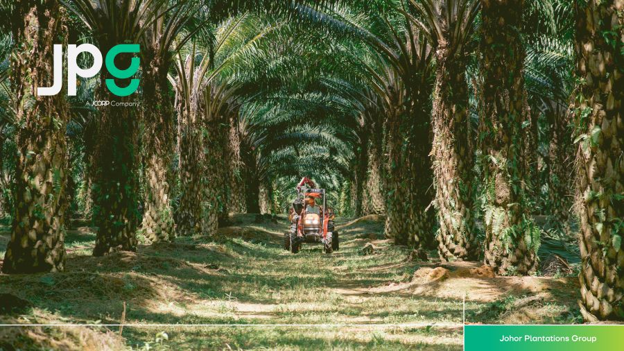 PublicInvest research has attached a fair value of RM1 to mid-size plantation company, Johor Plantations Group Bhd (JPG) which is set to debut on the Main Market of Bursa Malaysia on July 9, 2024. 