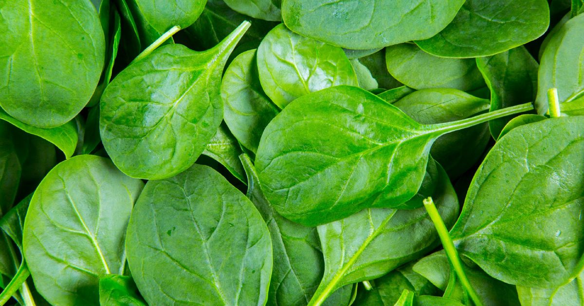Eat well : Scrumptious spinach