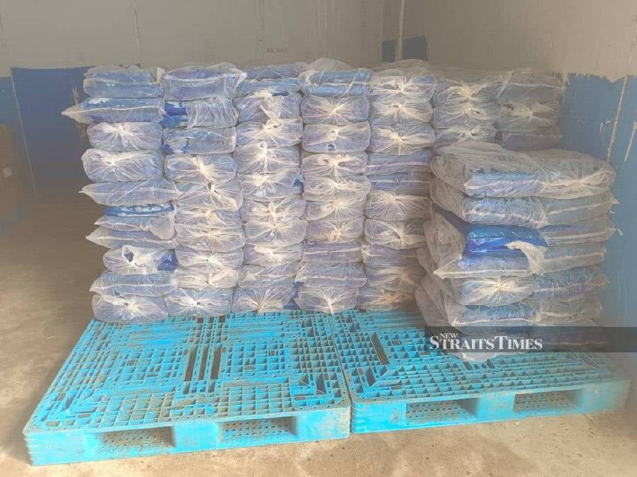 The State Customs Department made a major breakthrough in combating illegal frozen chicken sales, seizing almost RM130,000 worth of these products from a syndicate in Machang.- Pic credit: SHARIFAH MAHSINAH ABDULLAH