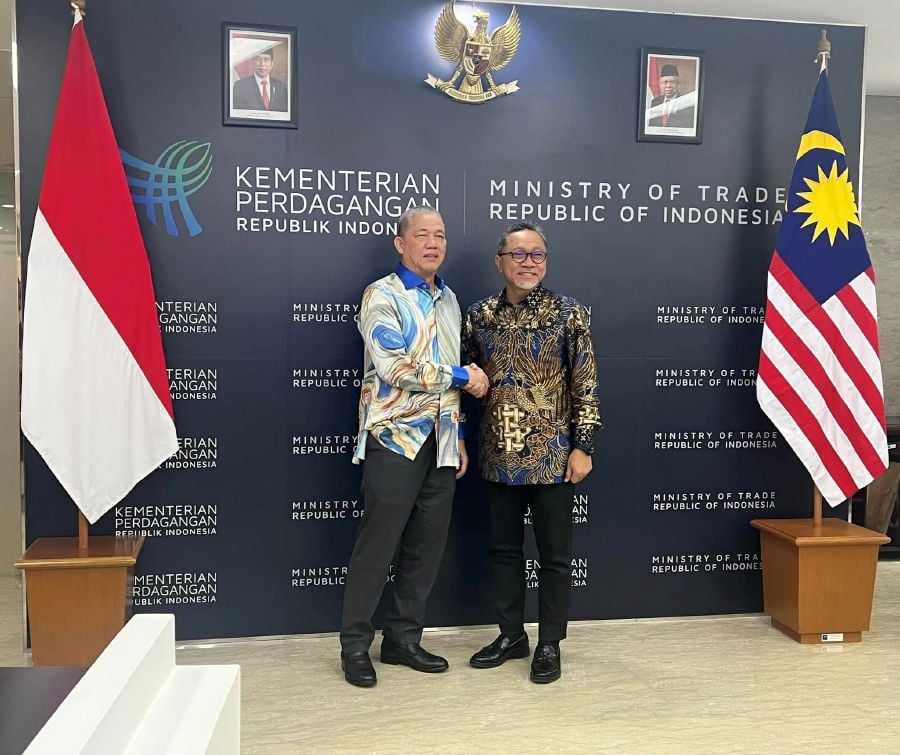 ジャカルタでの公式訪問中にインドネシアの貿易大臣ズルキフリ・ハサン博士に出迎えられるダトゥク・セリ・ファディラ・ユソフ副首相(左)。 - Fadillahyusof194 Facebookのクレジット写真