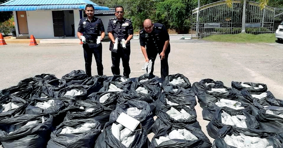 Duo transporting 400kg of ketum leaves nabbed in Jeli after police ...