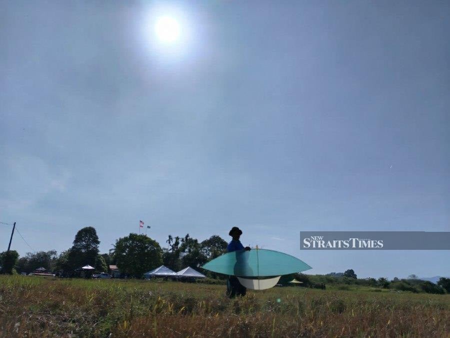 In Kampung Bendang Baru, padi farmers celebrated the tradition of flying wau during the dry season, finding joy amid the heat. - NSTP/AHMAD MUKHSEIN MUKHTAR
