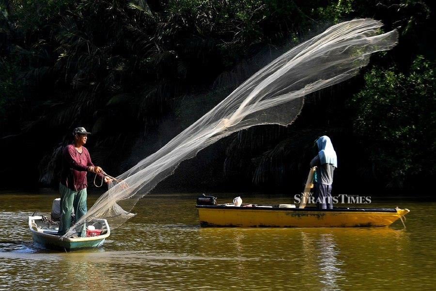  PORT DICKSON, MARCH 19 — The fishermen using nets to catch shrimp in Sungai Linggi. - BERNAMA PIC 