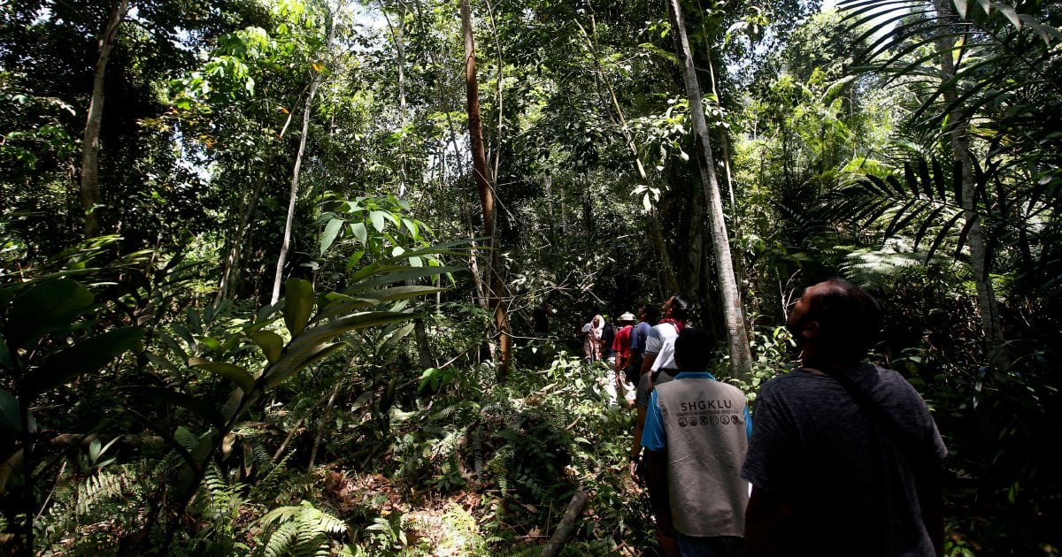 Kuala langat forest reserve